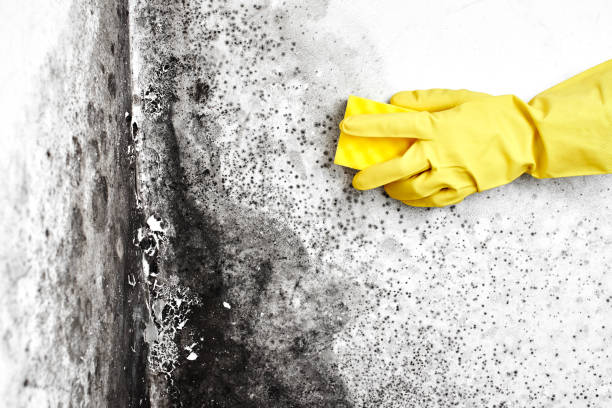 Water Damage Restoration in Bentonville, AR