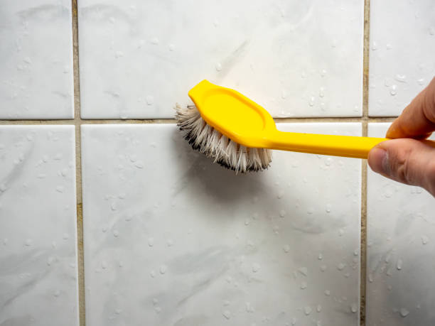 Mold Removal Process in Bentonville, AR