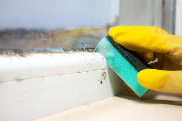 Water Damage Restoration in Bentonville, AR