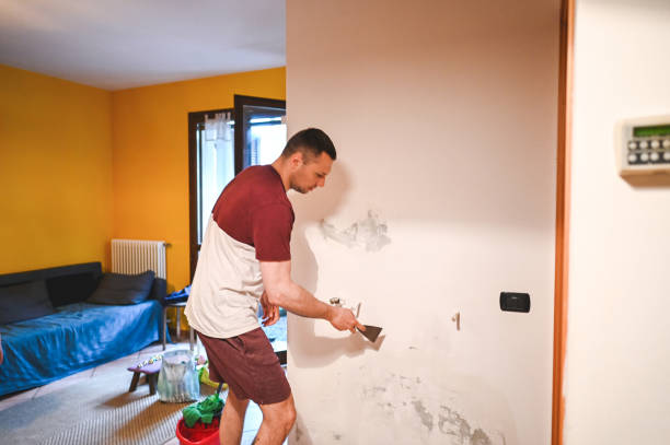Best Black Mold Removal  in Bentonville, AR